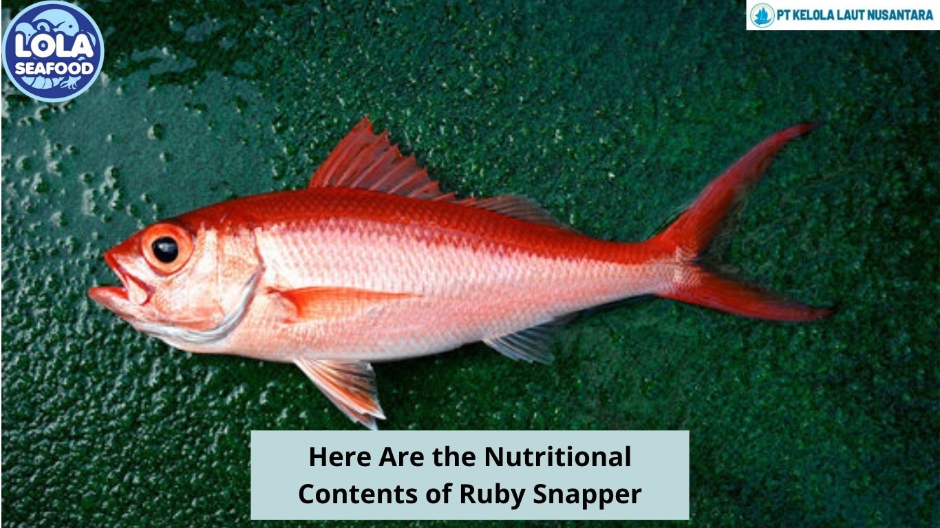 Here Are the Nutritional Contents of Ruby Snapper